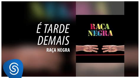 raca negra você jogou fora letra,raça negra é tarde demais